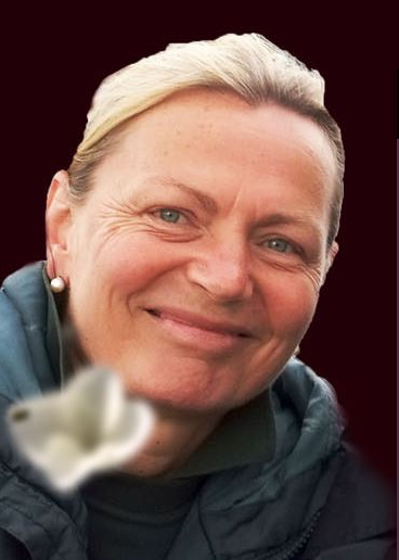 AKBild